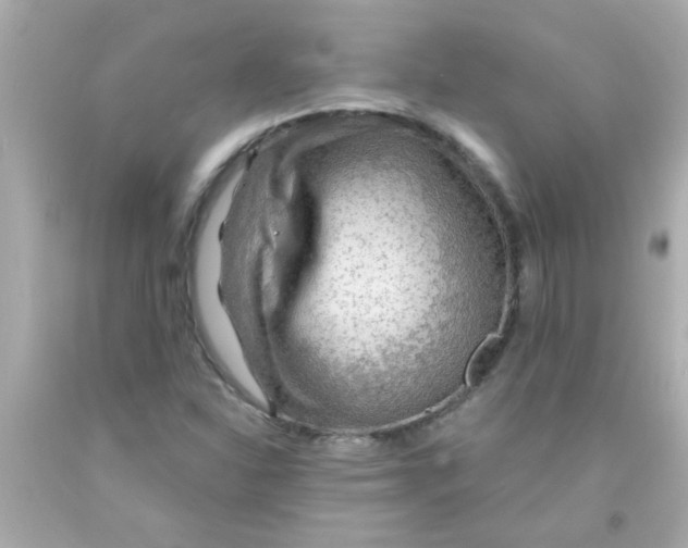 X0000093111310200710241234