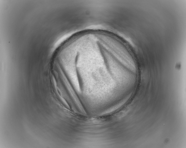 X0000093111311200710241234