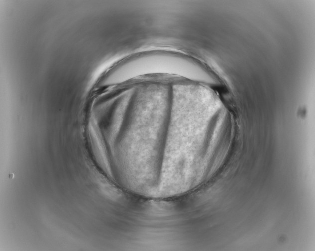 X0000093111312200710241234