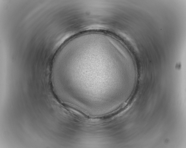 X0000093111313200710241234