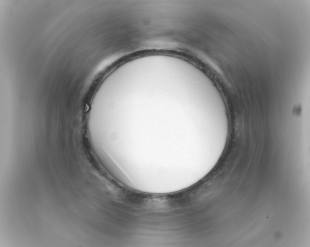 X0000093111315200710241234