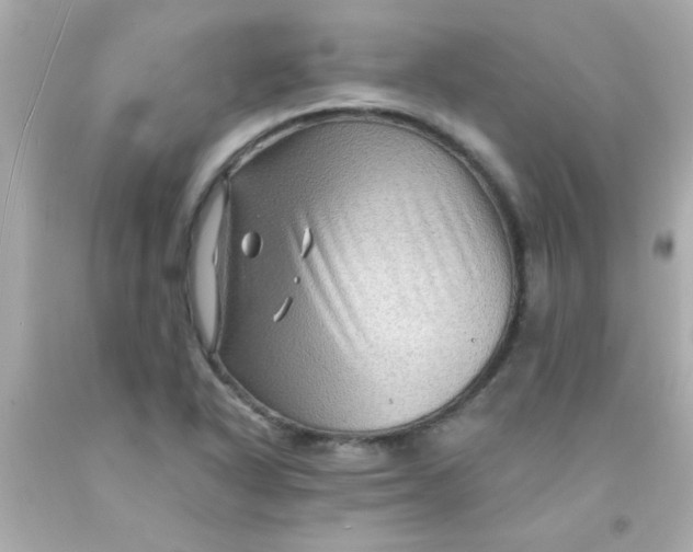 X0000093111318200710241234