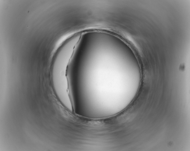 X0000093111320200710241234