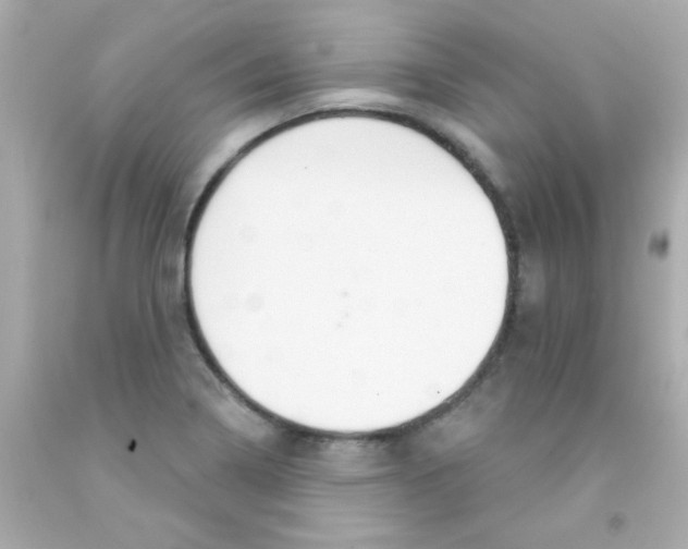 X0000093111322200710241234