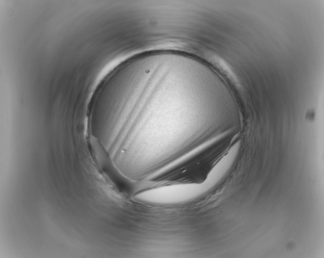 X0000093111324200710241234