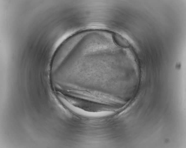 X0000093111325200710241234