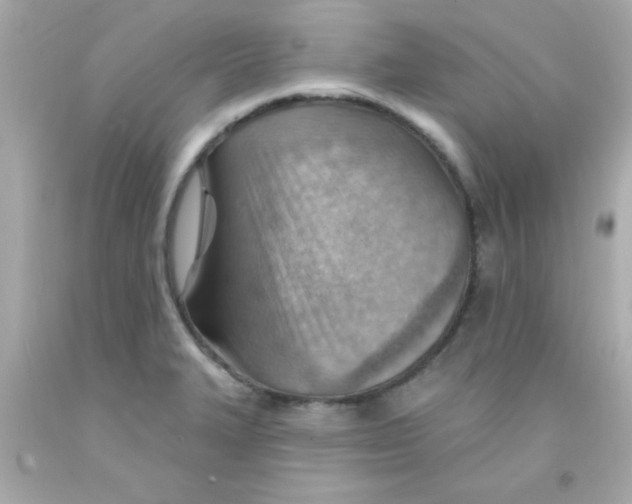 X0000093111327200710241234