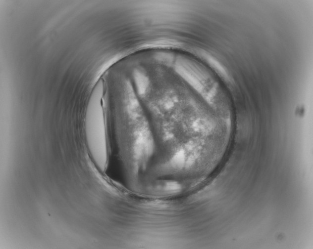 X0000093111329200710241234