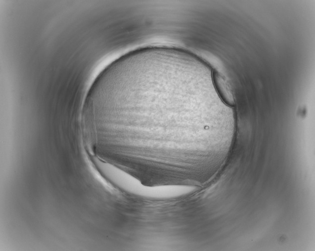 X0000093111335200710241234