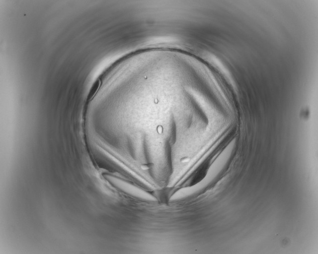 X0000093111336200710241234