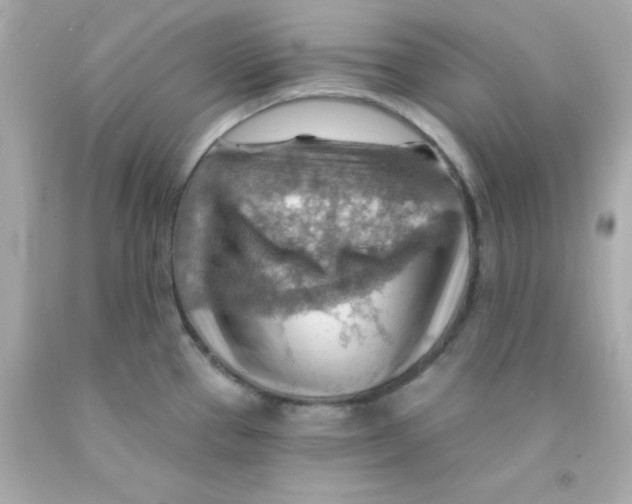 X0000093111337200710241234