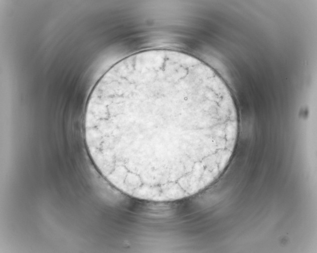 X0000093111338200710241234