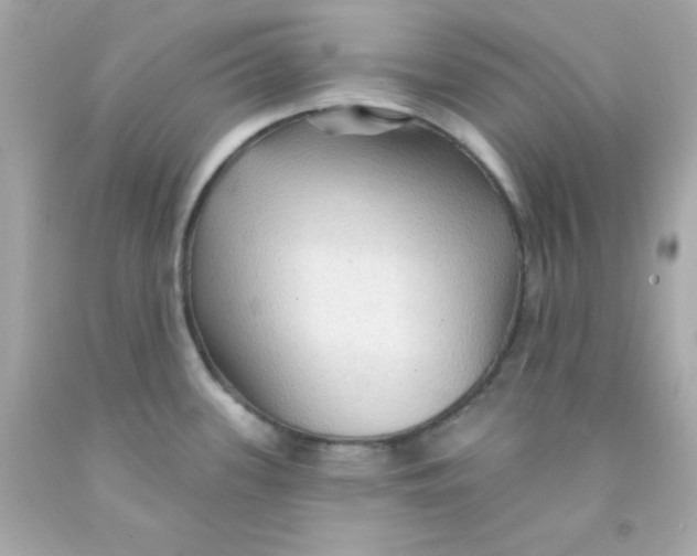 X0000093111339200710241234