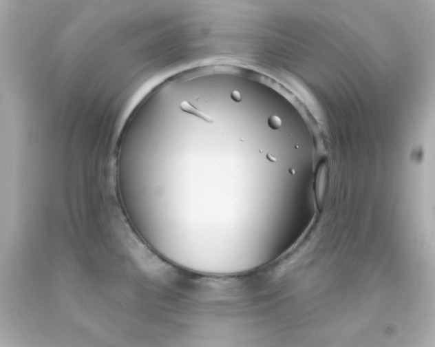 X0000093111340200710241234