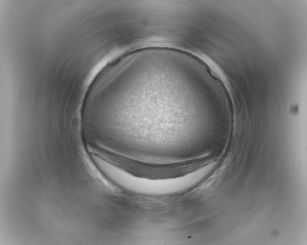 X0000093111341200710241234