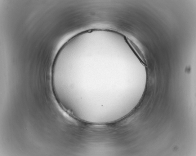 X0000093111343200710241234