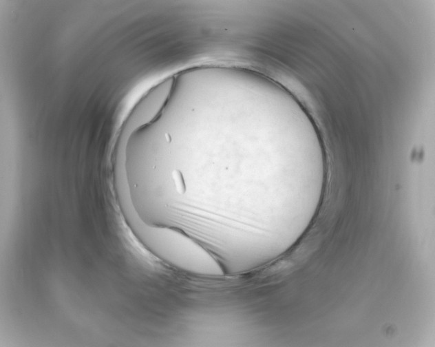 X0000093111344200710241234