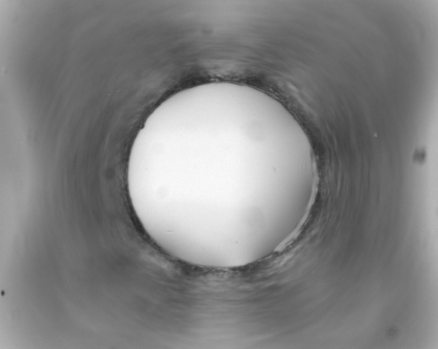 X0000093111345200710241233