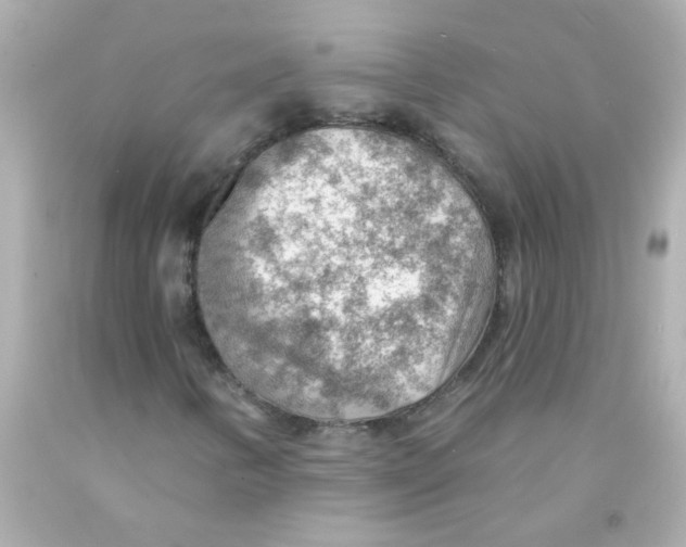 X0000093111346200710241233