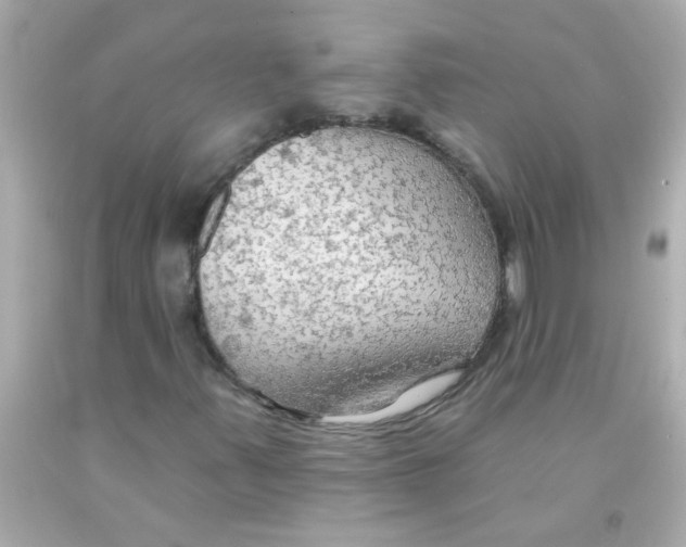 X0000093111347200710241233