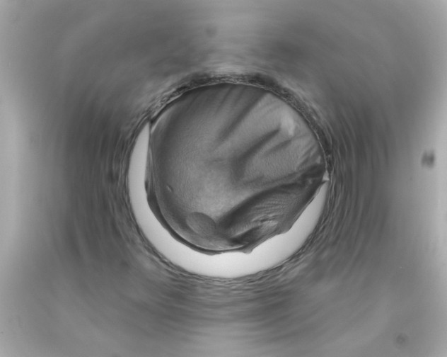 X0000093111348200710241233