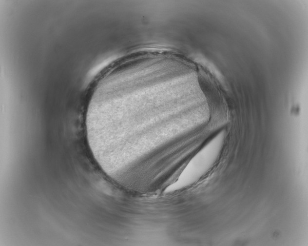 X0000093111352200710241233