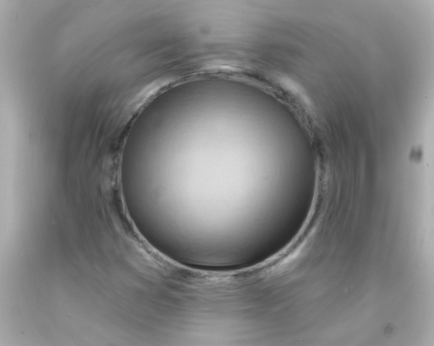 X0000093111353200710241233