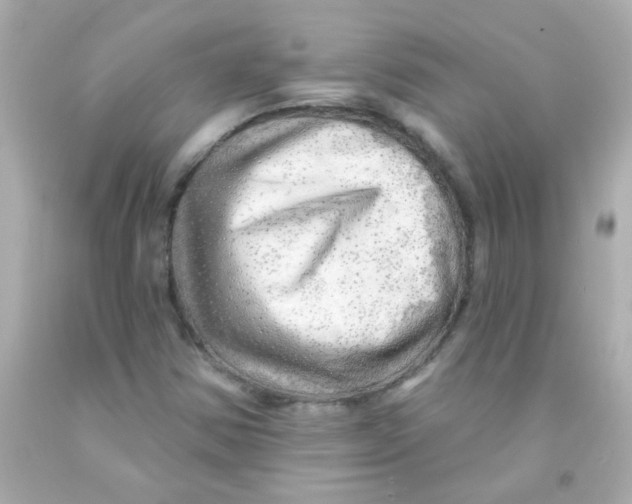 X0000093111354200710241233