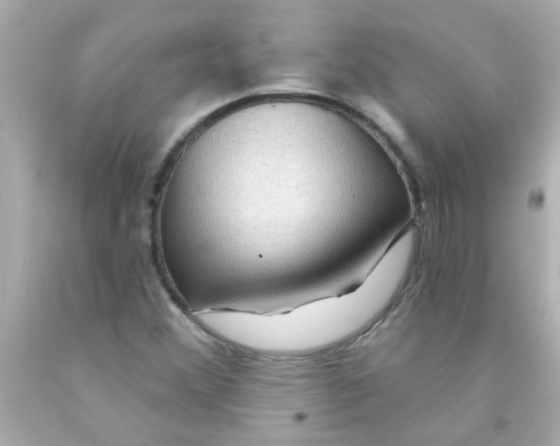 X0000093111356200710241233