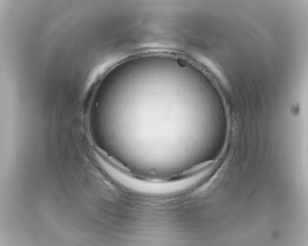 X0000093111357200710241233