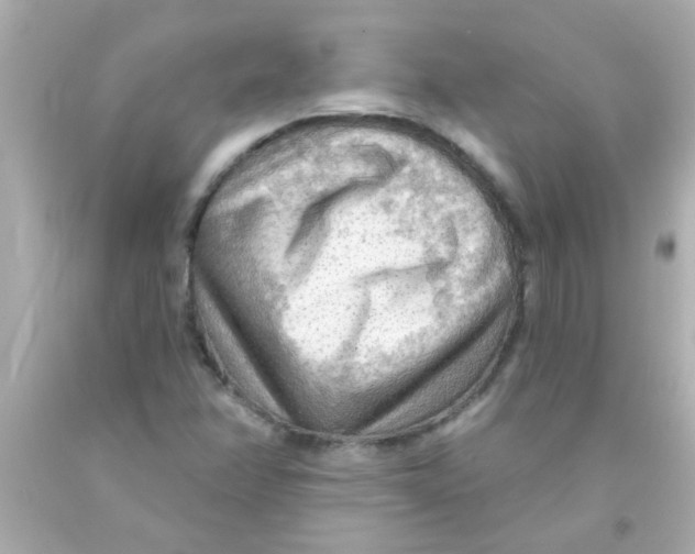 X0000093111358200710241233