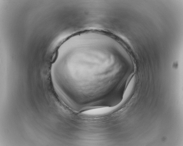 X0000093111359200710241233