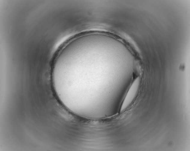 X0000093111360200710241233