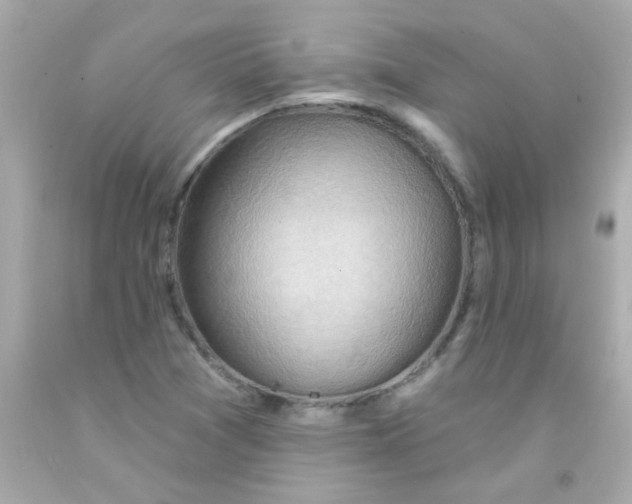 X0000093111361200710241233