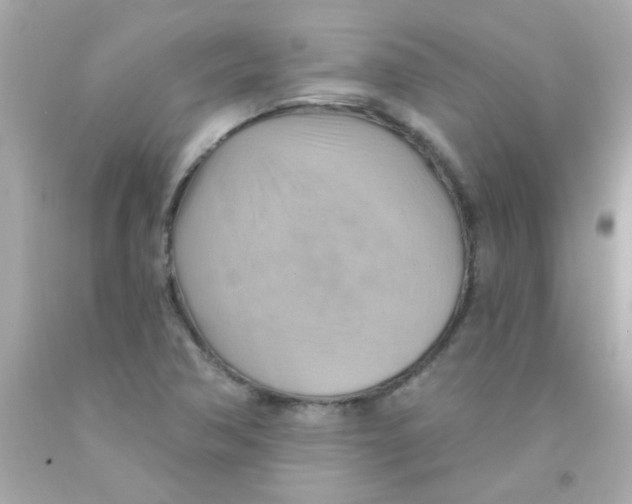 X0000093111362200710241233