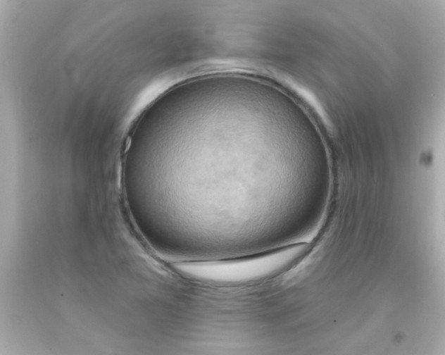 X0000093111365200710241233