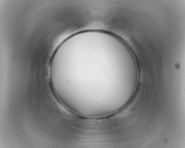 X0000093111366200710241233