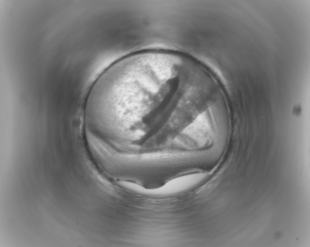 X0000093111367200710241233