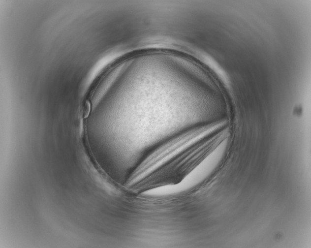 X0000093111368200710241233