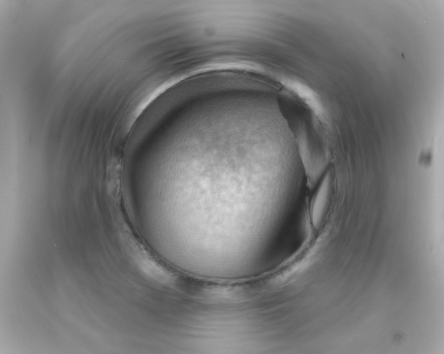 X0000093111369200710241233