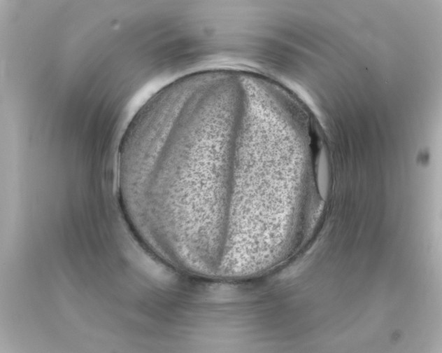 X0000093111371200710241233