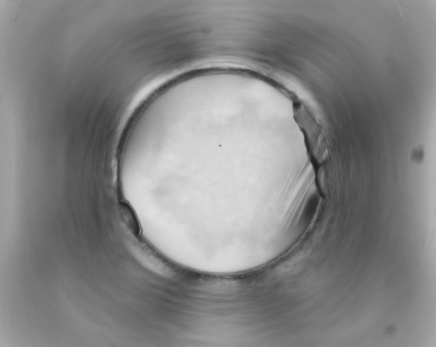 X0000093111372200710241233