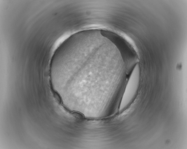 X0000093111373200710241233