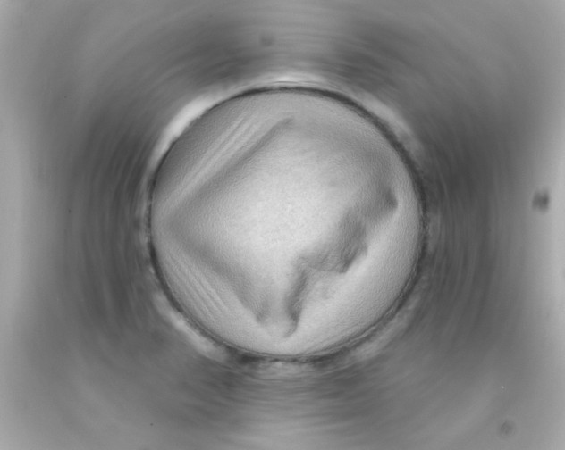 X0000093111374200710241233