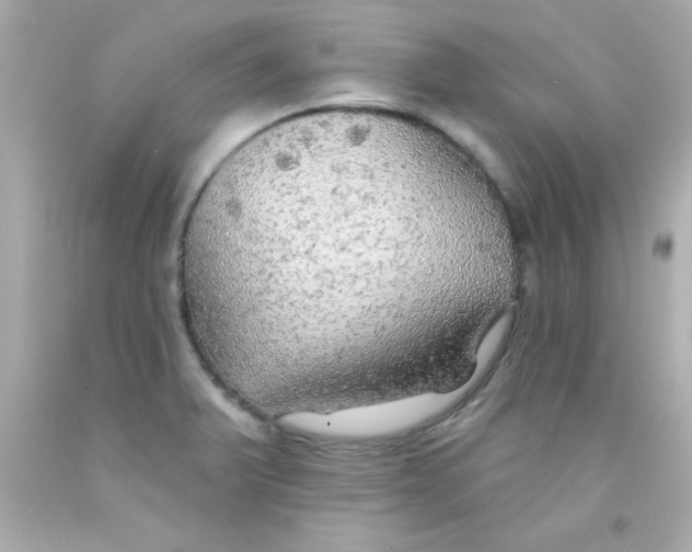 X0000093111375200710241233