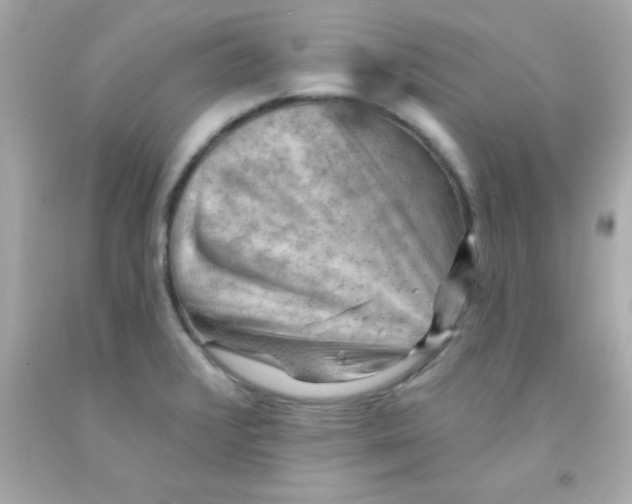 X0000093111376200710241233