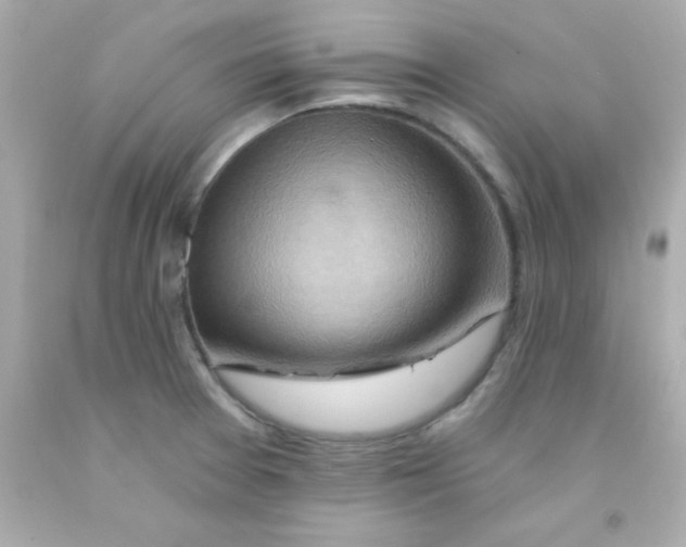 X0000093111377200710241233