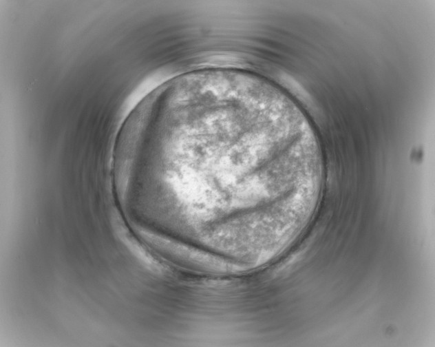 X0000093111378200710241233