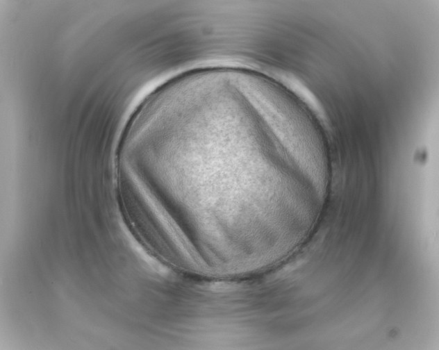 X0000093111380200710241233