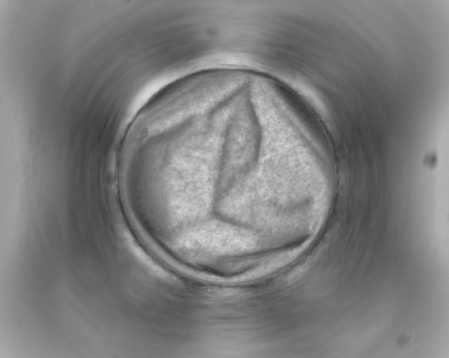 X0000093111382200710241233